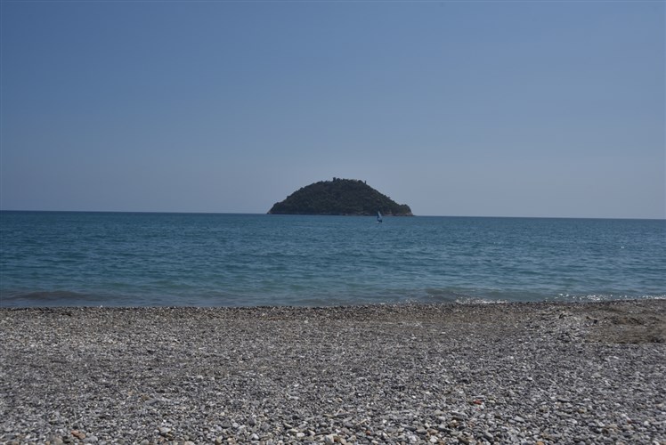 gallinarasurf
